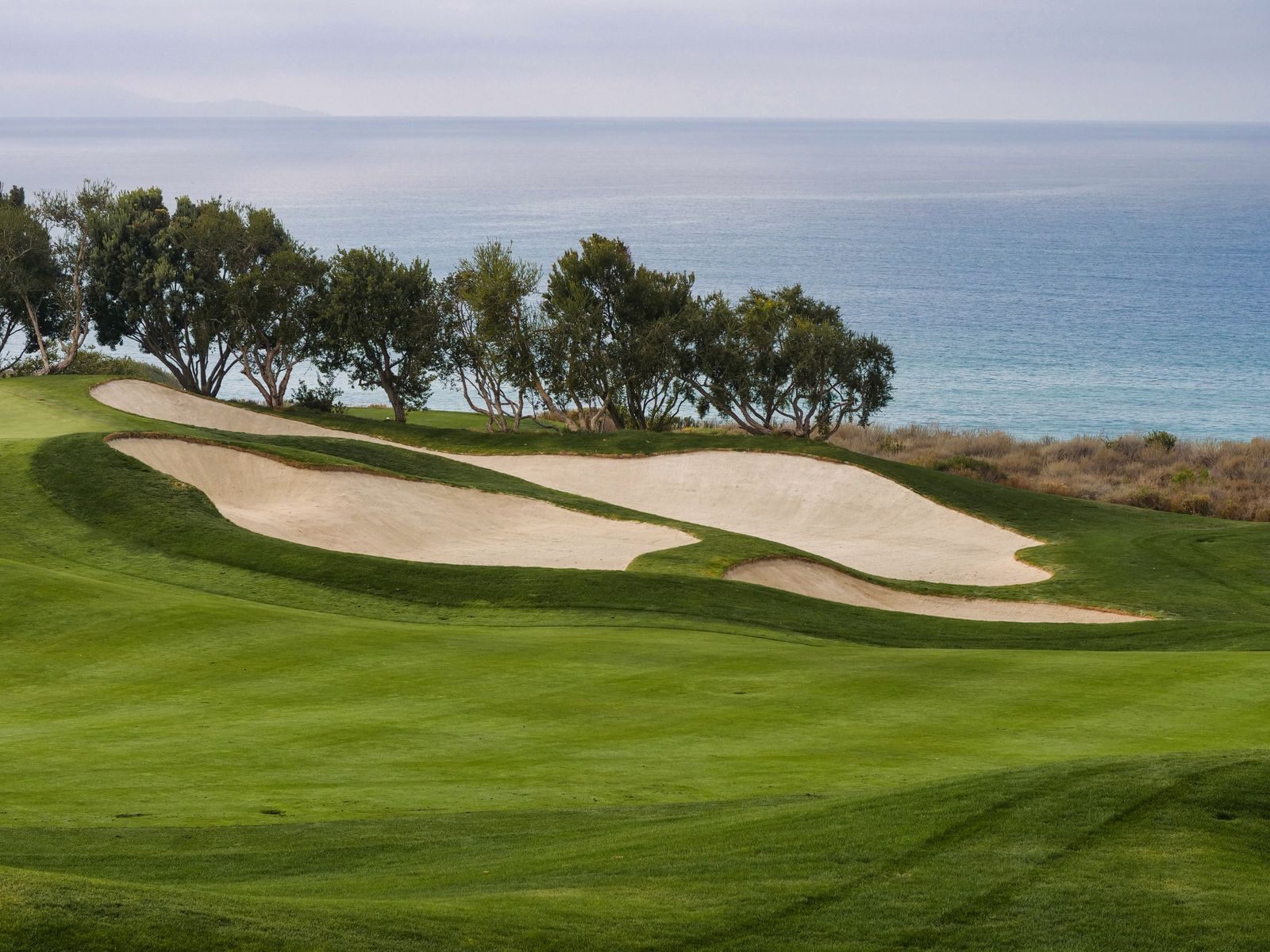 Green fairway and white bunkers on a course above the sea