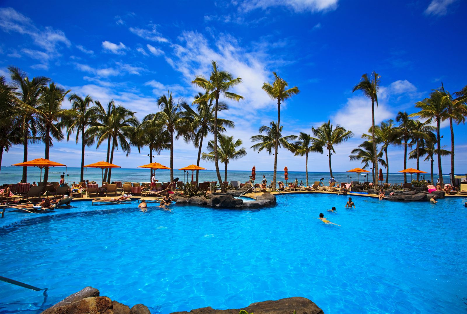 Resort swimming pool with orange umbrellas and tall palm trees beside the ocean in Hawaii