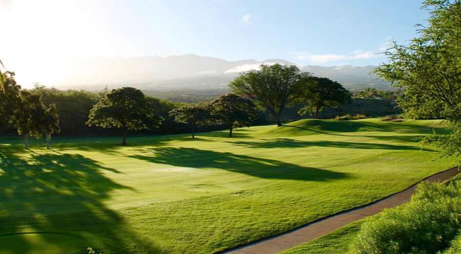 Sunlit fairway framed by spreading trees with hazy mountains behind